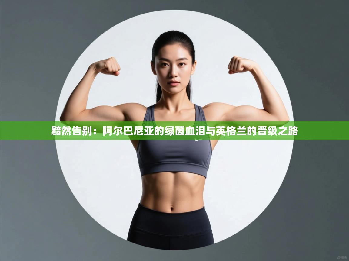 黯然告别：阿尔巴尼亚的绿茵血泪与英格兰的晋级之路  第1张